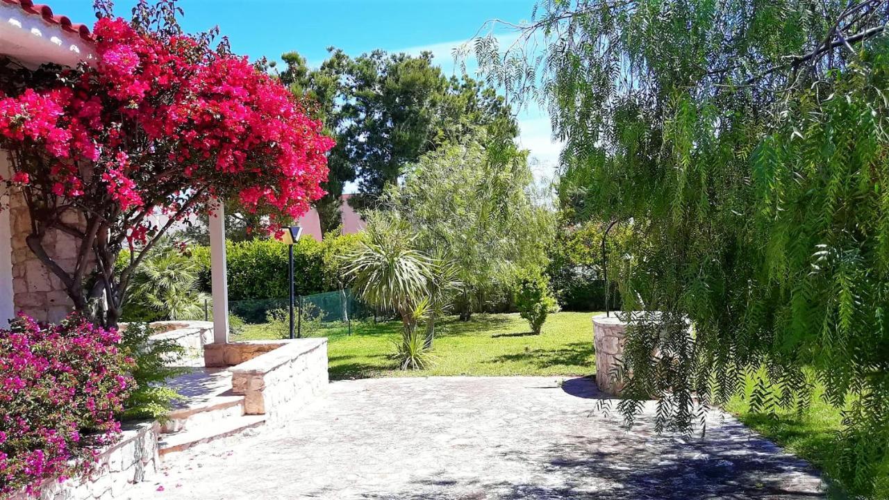 Bouganvilla Polignano a Mare Dış mekan fotoğraf